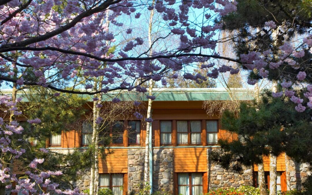 Hotel Sequoia Lodge du 6 au 7 décembre 2025