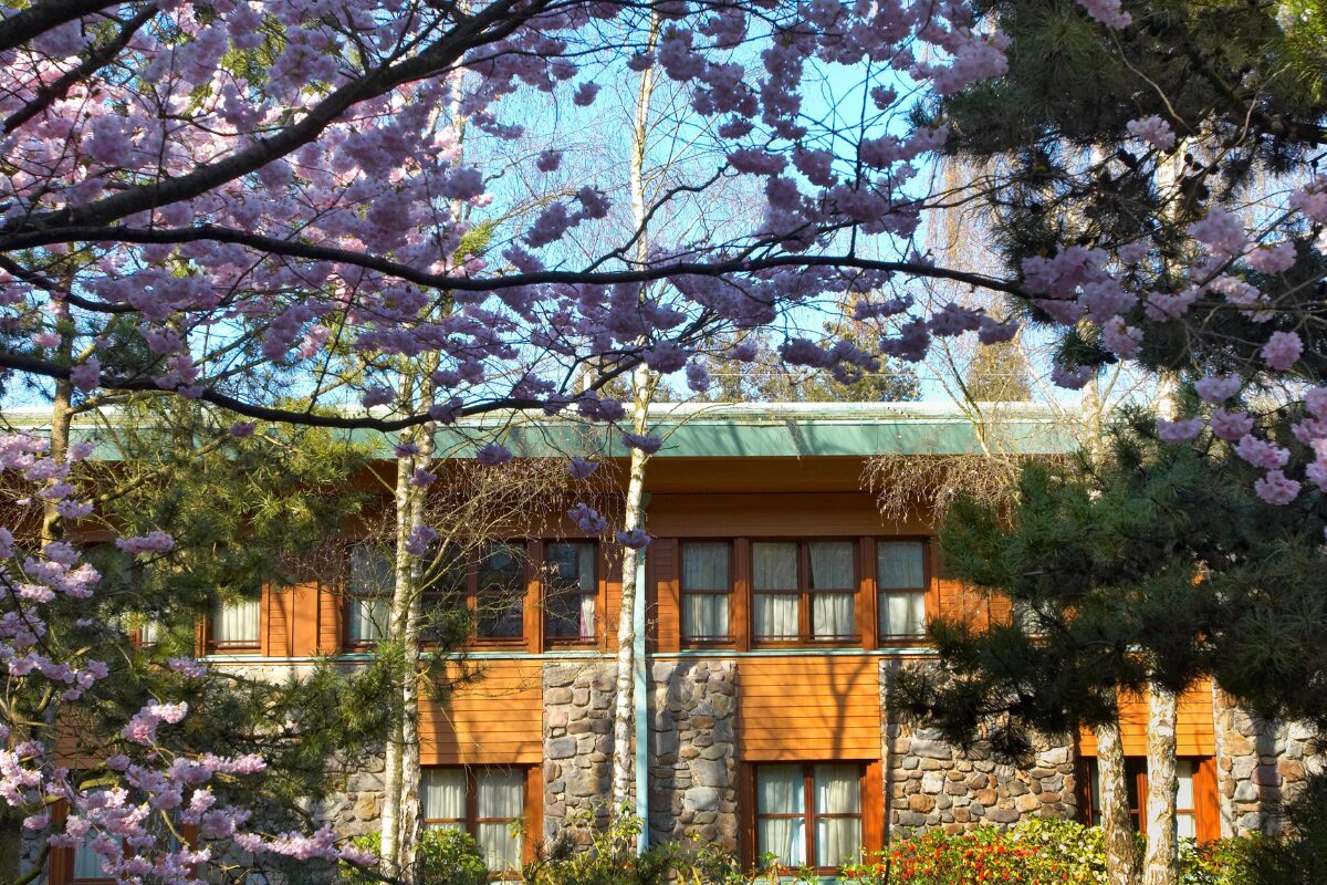 Sequoia_lodge0
